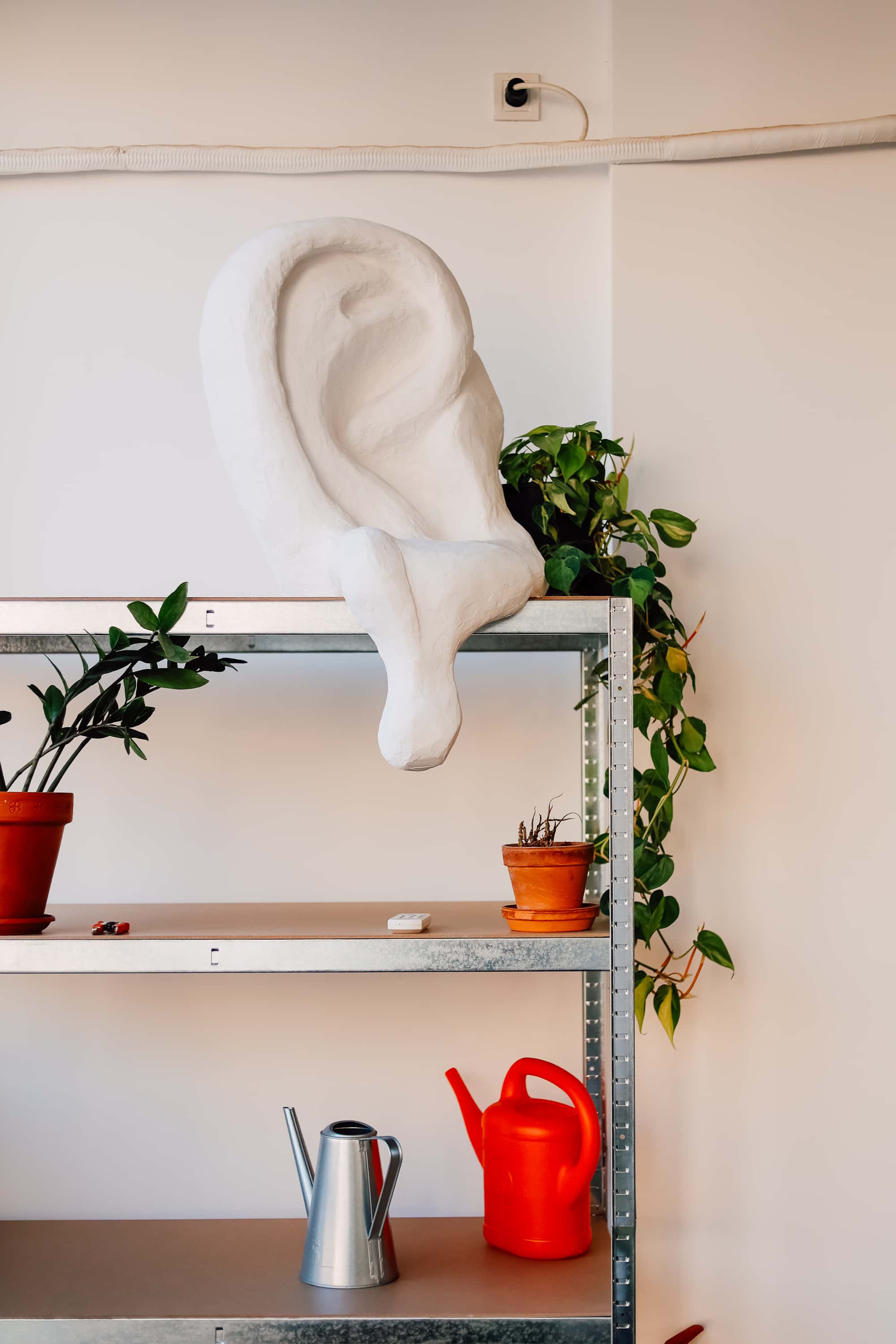 pool in green garden