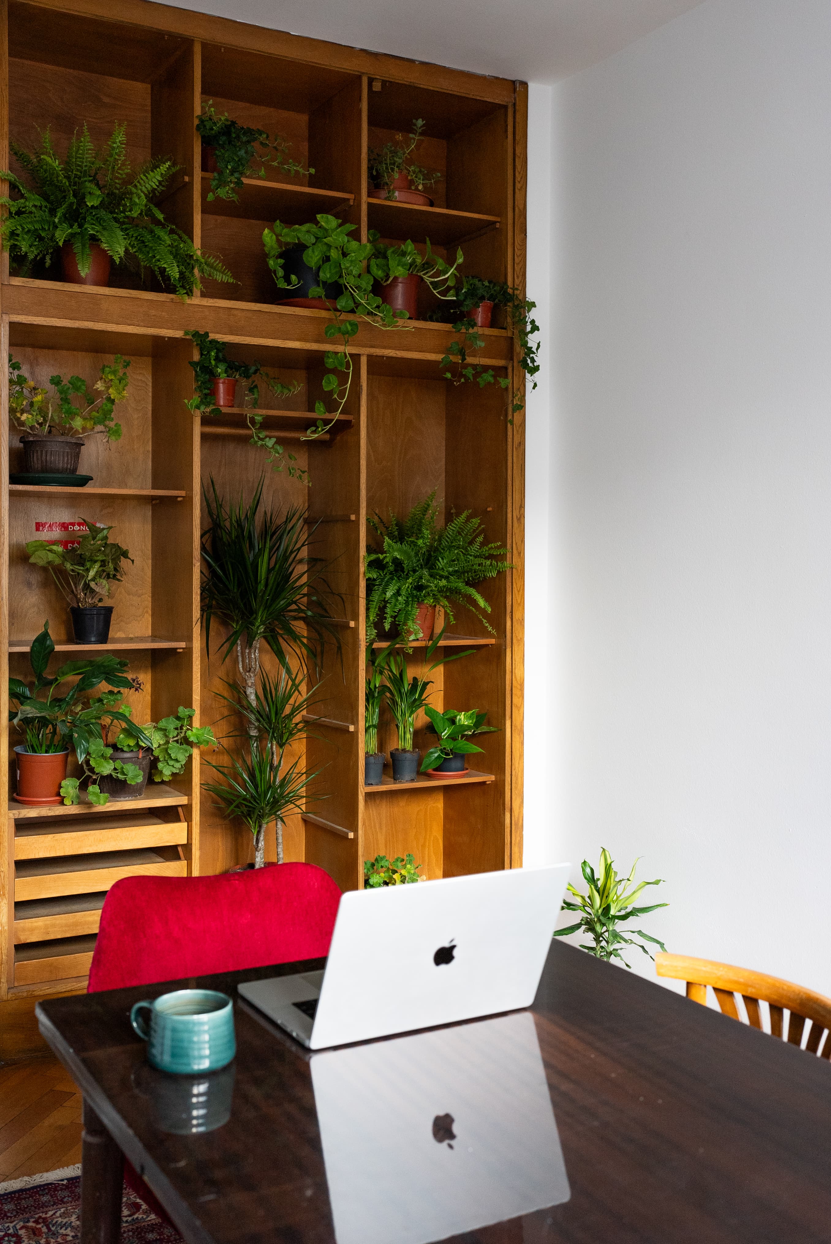 brick road with flowers on the side