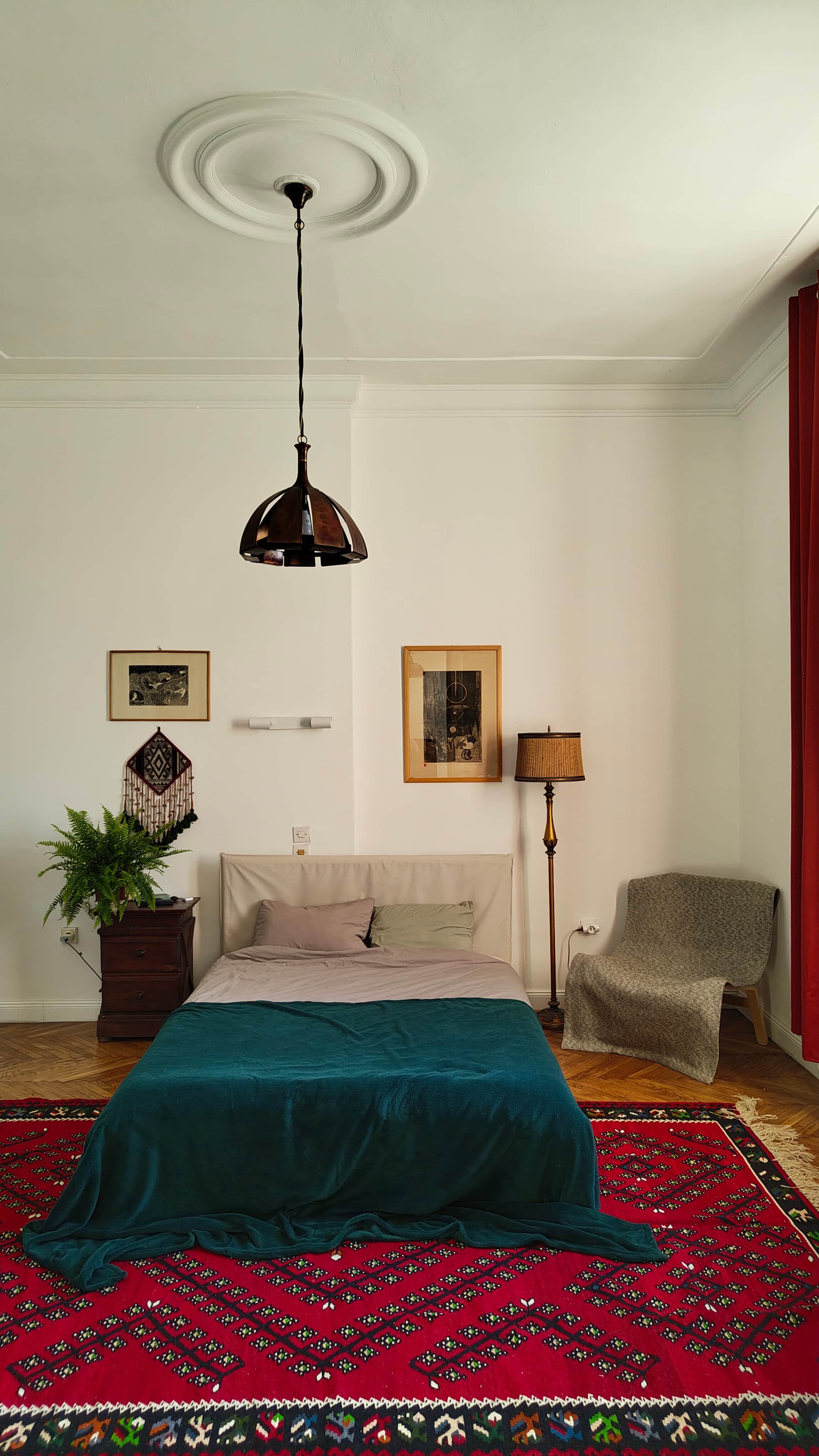 concrete house in lush environment