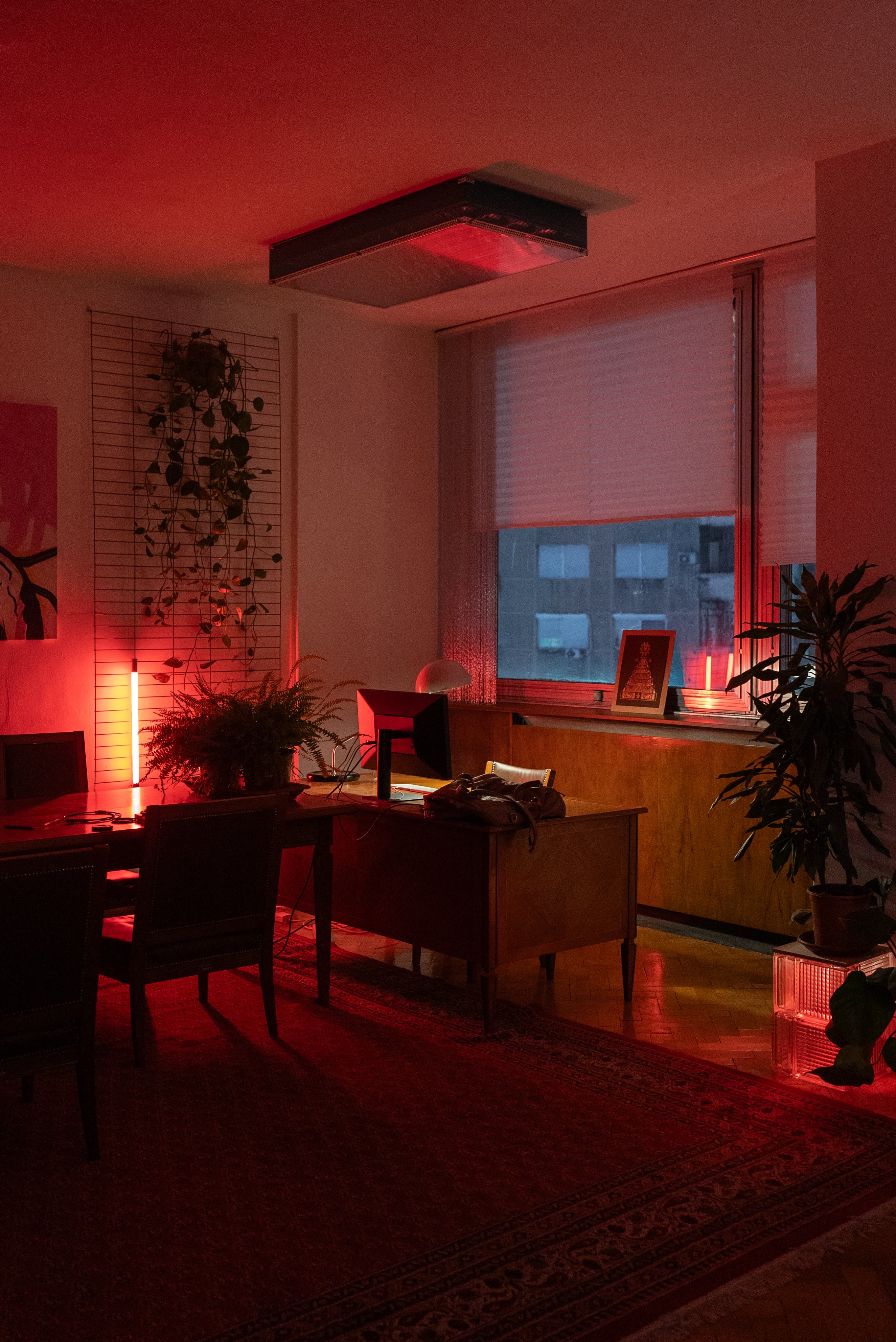 brick road with flowers on the side