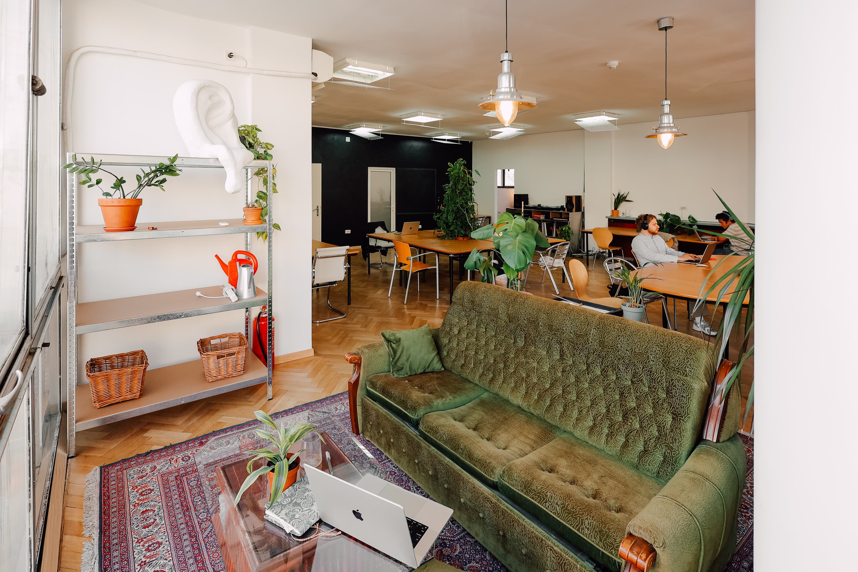 concrete house in lush environment